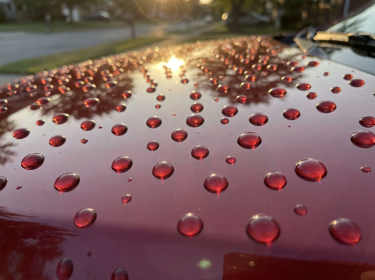 Water beading on ceramic-coated paint